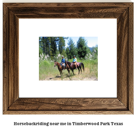 horseback riding near me in Timberwood Park, Texas